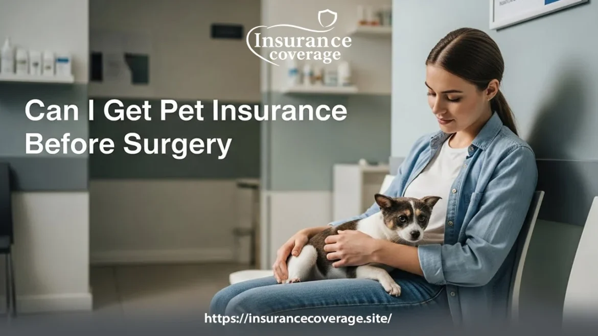 Can I Get Pet Insurance Before Surgery?